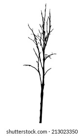 vector black silhouette of a bare tree