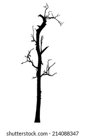 vector black silhouette of a bare tree