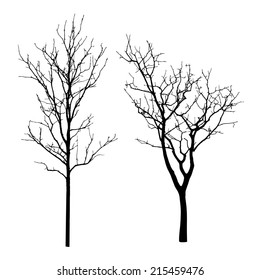 vector black silhouette of a bare tree