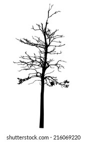 vector black silhouette of a bare tree