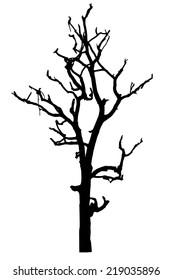 vector black silhouette of a bare tree