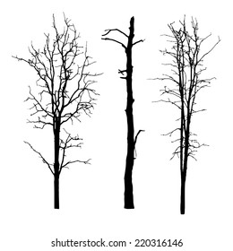 vector black silhouette of a bare tree