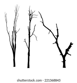 vector black silhouette of a bare tree