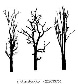 vector black silhouette of a bare tree