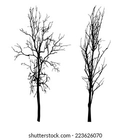 vector black silhouette of a bare tree