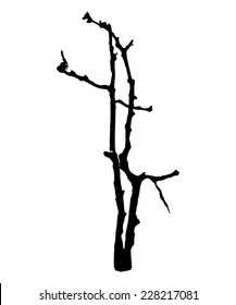 vector black silhouette of a bare tree