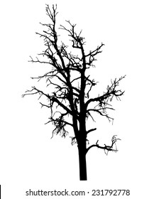 vector black silhouette of a bare tree