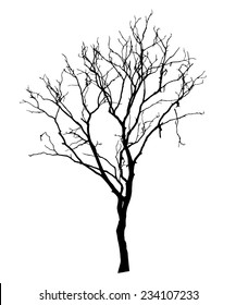 vector black silhouette of a bare tree