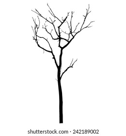vector black silhouette of a bare tree