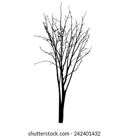 vector black silhouette of a bare tree