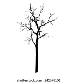 17,846 Tall Tree Trunks Silhouette Images, Stock Photos & Vectors ...