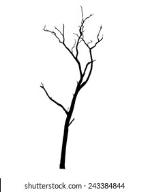 vector black silhouette of a bare tree