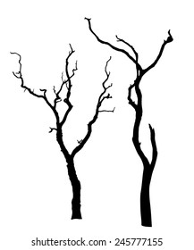 vector black silhouette of a bare tree