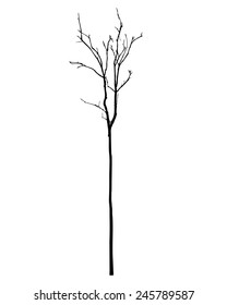 vector black silhouette of a bare tree