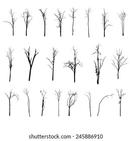 39,111 Silhouette tall trees Images, Stock Photos & Vectors | Shutterstock