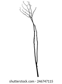 vector black silhouette of a bare tree