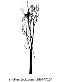 vector black silhouette of a bare tree
