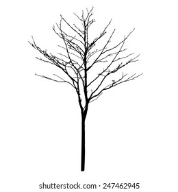 vector black silhouette of a bare tree