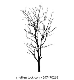 vector black silhouette of a bare tree