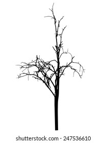vector black silhouette of a bare tree