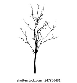 vector black silhouette of a bare tree