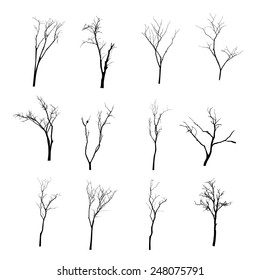 vector black silhouette of a bare tree