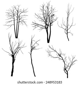 vector black silhouette of a bare tree