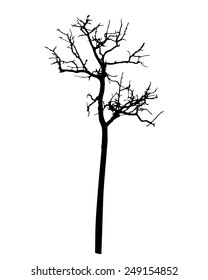 vector black silhouette of a bare tree