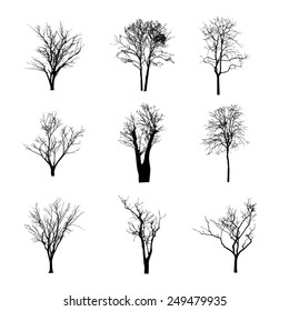 vector black silhouette of a bare tree