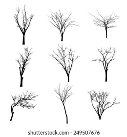 vector black silhouette of a bare tree