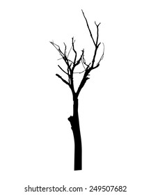 vector black silhouette of a bare tree