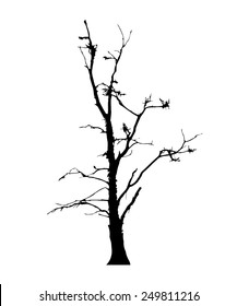 vector black silhouette of a bare tree