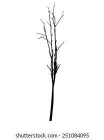 vector black silhouette of a bare tree