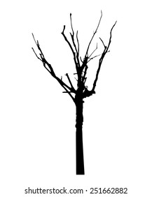 vector black silhouette of a bare tree