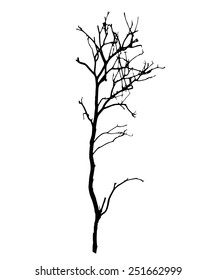 vector black silhouette of a bare tree