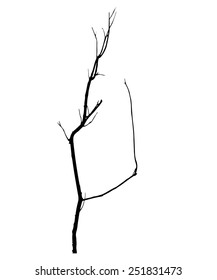 vector black silhouette of a bare tree