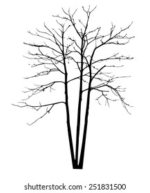 vector black silhouette of a bare tree