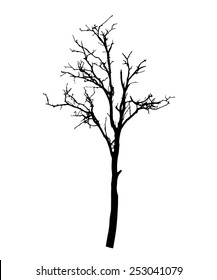 vector black silhouette of a bare tree