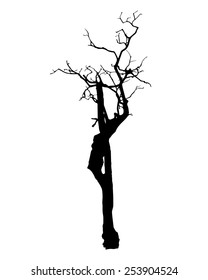 vector black silhouette of a bare tree