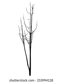 vector black silhouette of a bare tree