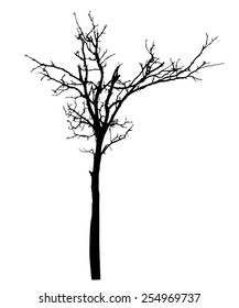 vector black silhouette of a bare tree