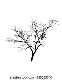 vector black silhouette of a bare tree