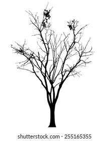 vector black silhouette of a bare tree