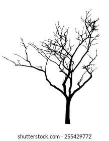 vector black silhouette of a bare tree