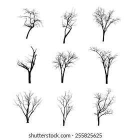 vector black silhouette of a bare tree