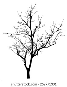 vector black silhouette of a bare tree