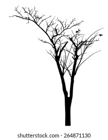 vector black silhouette of a bare tree