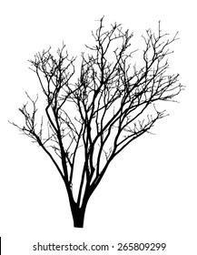 vector black silhouette of a bare tree