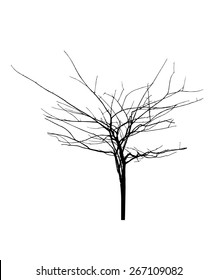 vector black silhouette of a bare tree