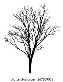 vector black silhouette of a bare tree